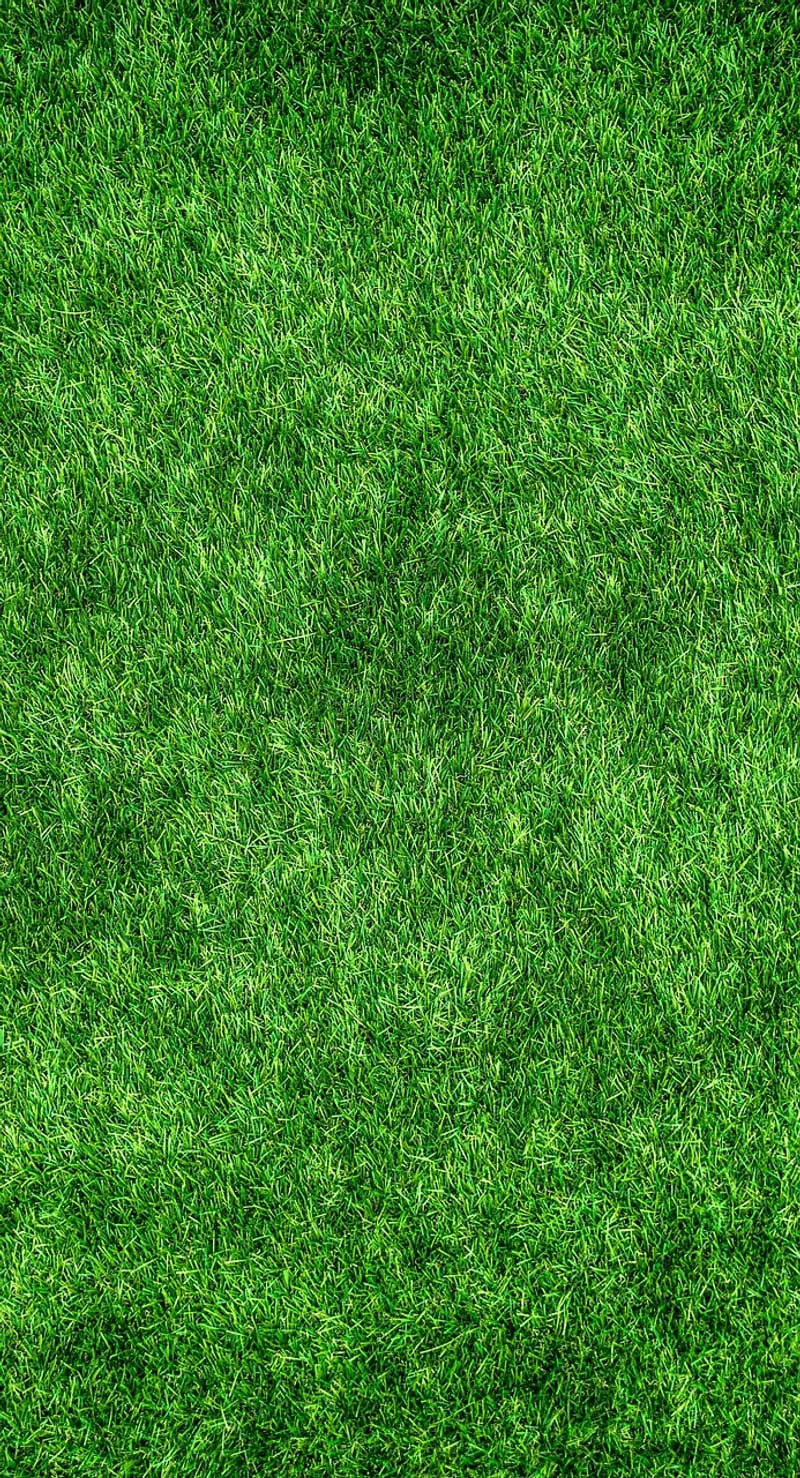 Eco-Friendly Home Practices